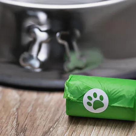 Margi Joy Cozy In The Centre Στσέτσιν